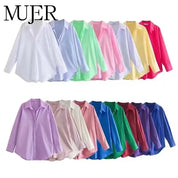 Camisa Manga Larga Multicolor